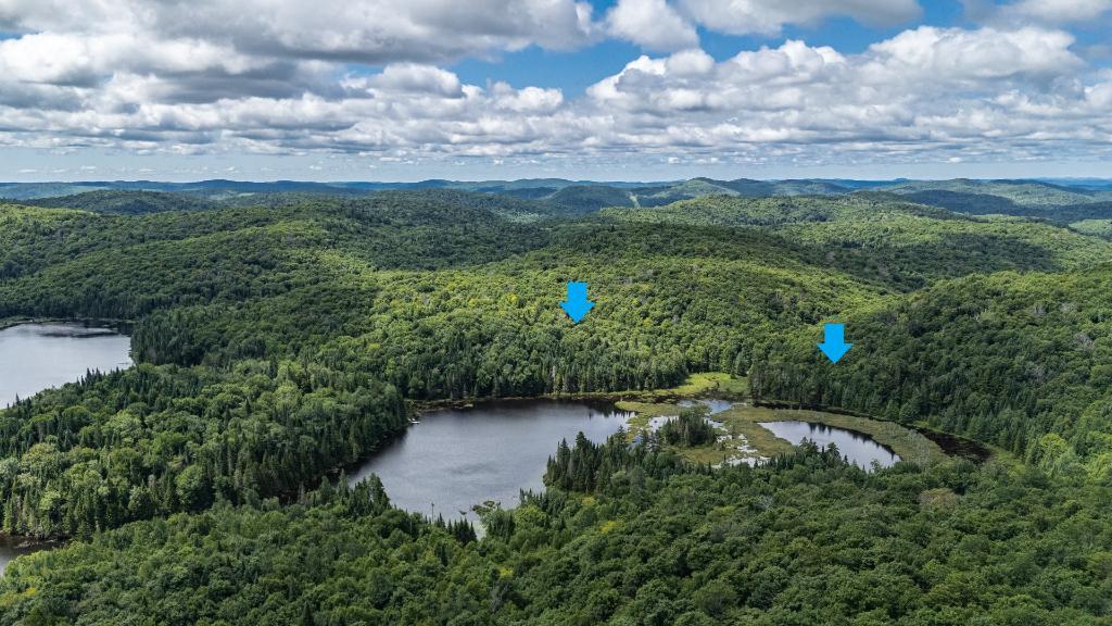 Laurentides, grand terrain de 3.8 acres, bord de l'eau à Sainte-Agathe-des-Monts au Lac Brière, près du parc Régional | 3065633