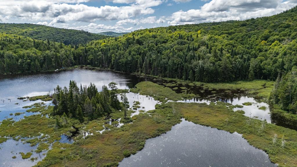 Laurentides, grand terrain de 3.8 acres, bord de l'eau à Sainte-Agathe-des-Monts au Lac Brière, près du parc Régional | 3065633