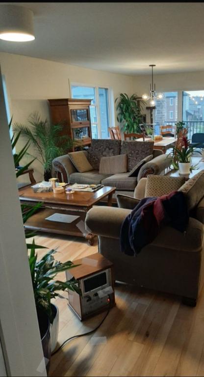COLOCATION POUR HOMME SEULEMENT | 3067040