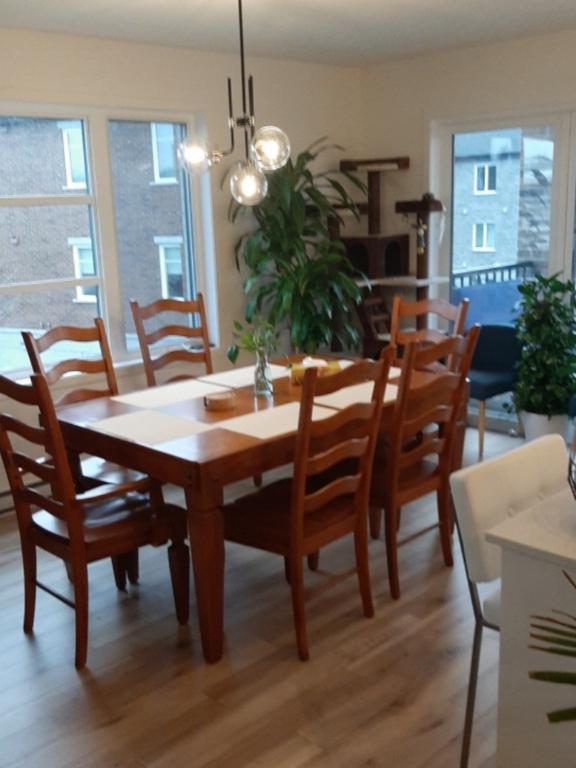 COLOCATION POUR HOMME SEULEMENT | 3067040