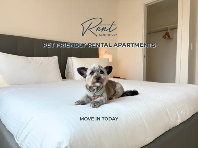 Rent Suter Brook in Suter Brook Village | 302 Morrissey Road, Port Moody | 3067292