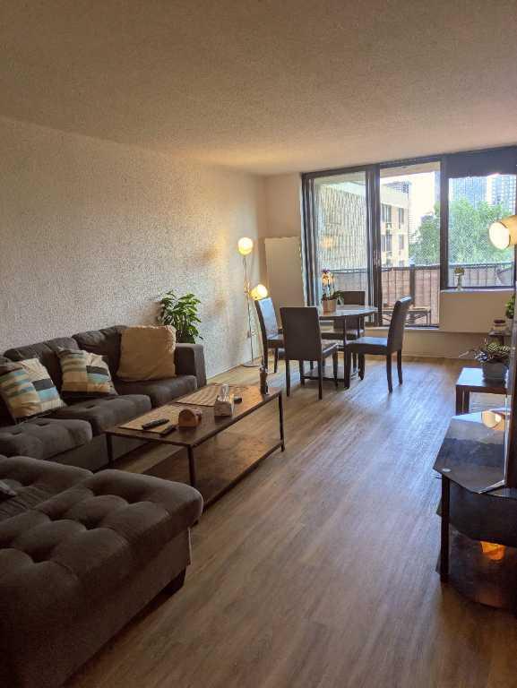 1 décembre/Grand 3 1/2 prix imbattable quartier de spectacles | 3070518
