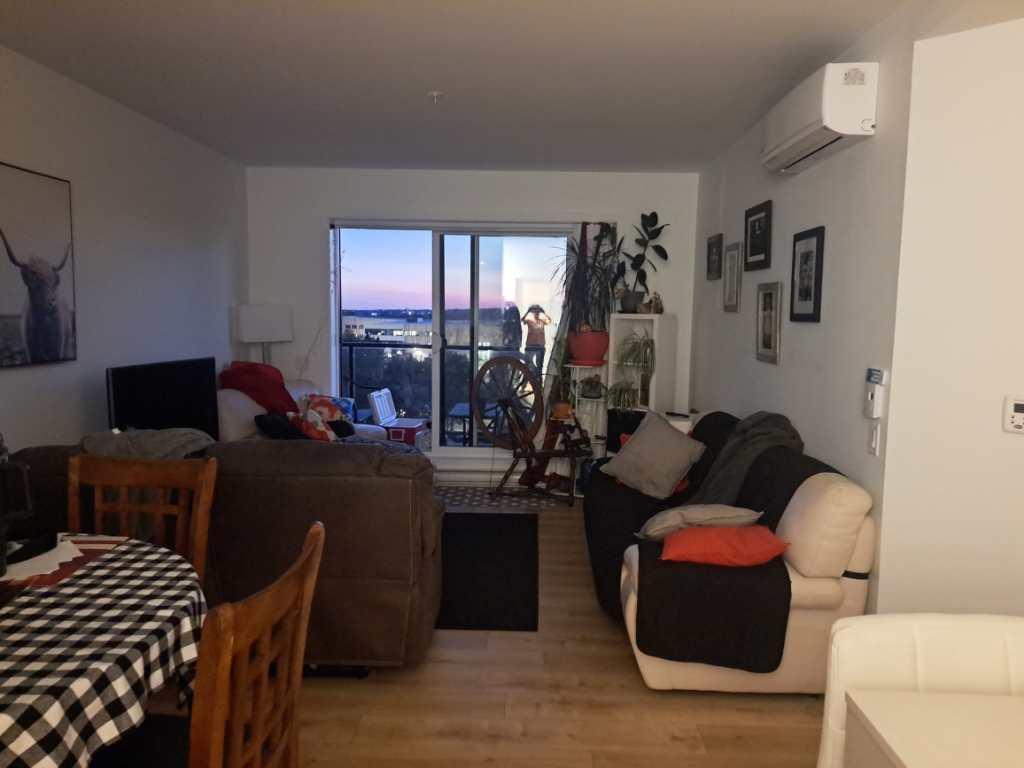 4 demi + Bureau/DROIT chiens et chats | 3191452