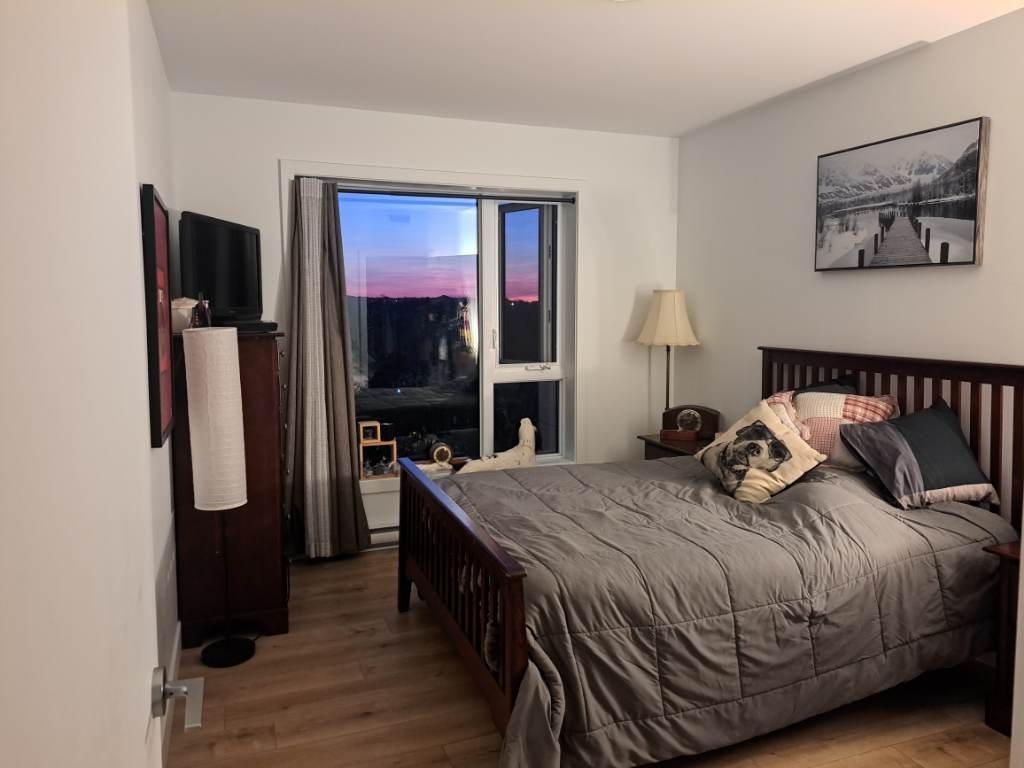 4 demi + Bureau/DROIT chiens et chats | 3191452