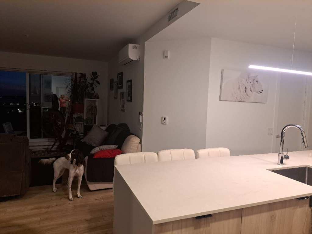 4 demi + Bureau | 3098498