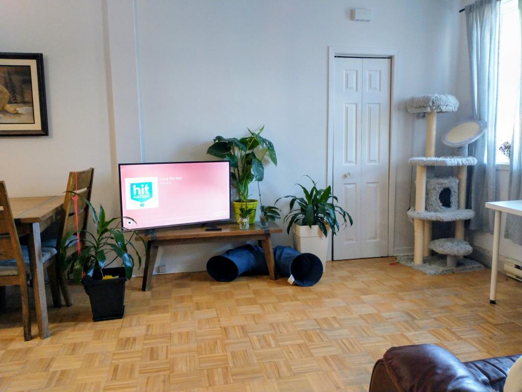 Logement 3 1/2 à Rivière-Rouge | 3072114