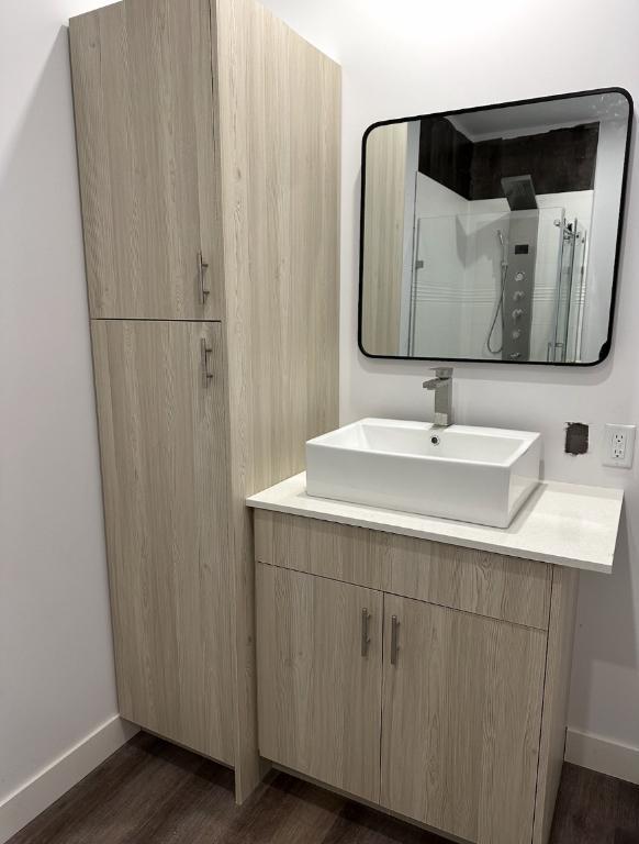 Studio-style condo à louer libre 1 Mars 2025 | 3072116