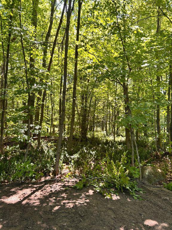 Terrain à vendre résidentiel et équestre | 3072972