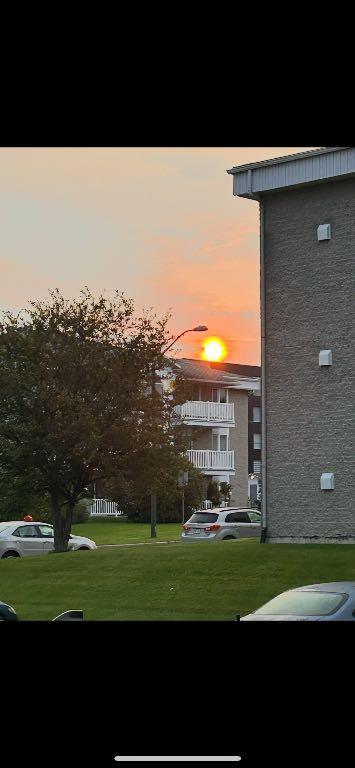 3-1/2 condo entièrement meublé et chauffé | 3073233