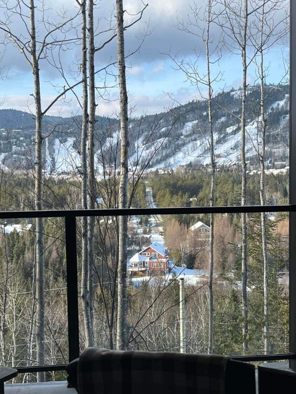Terrains avec superbe vue sur les pentes de ski | 3073827