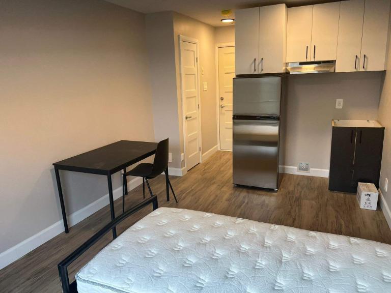 Studio - Montréal - $1,265 /mo | 3074280