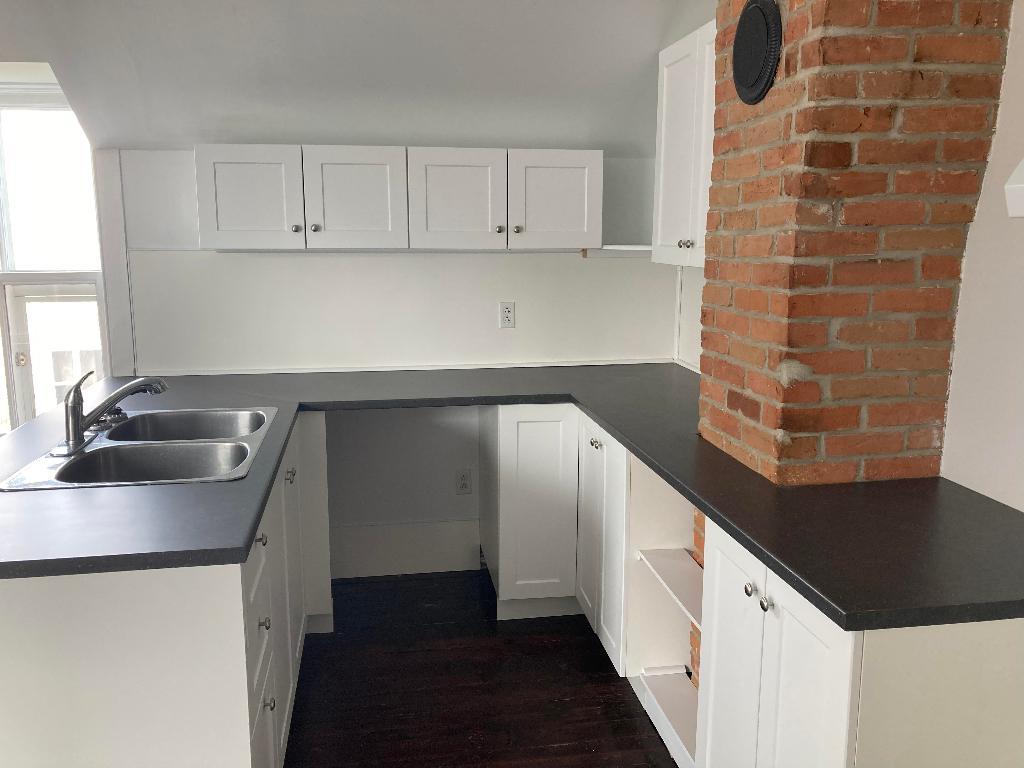Charmant et Lumineux Appartement 4 ½ à Louer | 3074299