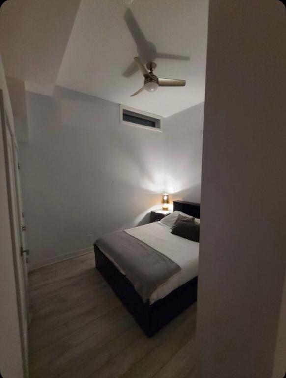 Joli 3 1/2 à louer - Plateau Mont-Royal | 3074520