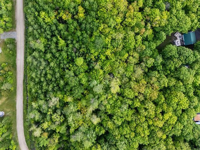 Terrain | 3074645