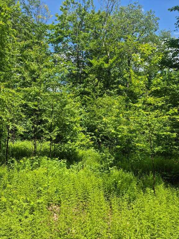 Terrains, résidentiel, | 3074680