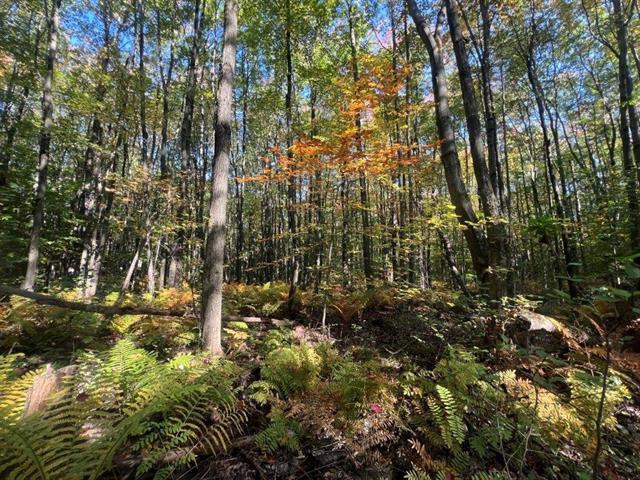 St-Amable (Montérégie) : terre à bois à vendre | 3084572