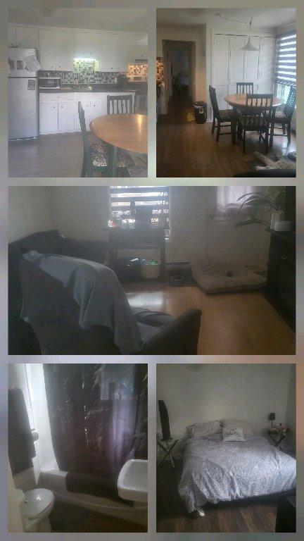 appartements à louer 3et demi | 3083539