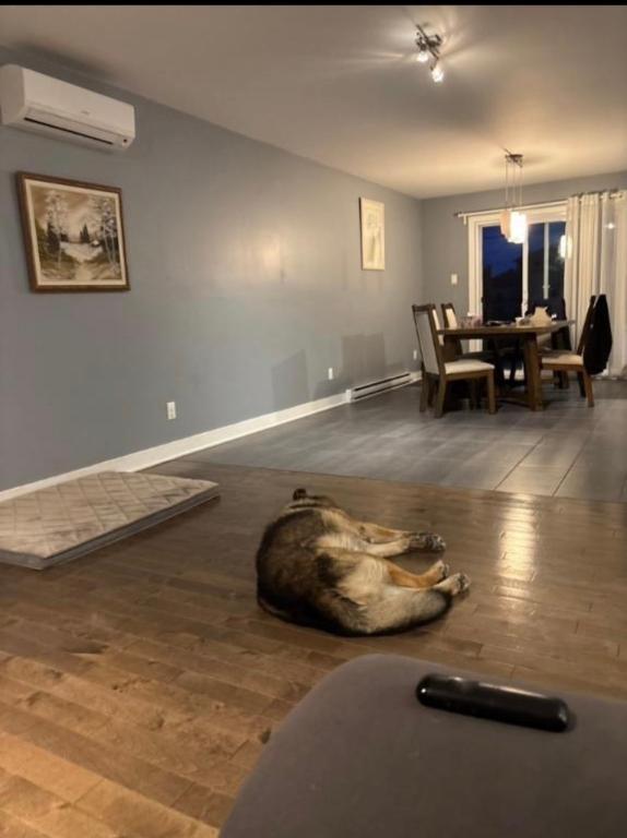 Chambre à Louer incluant WiFi | 3083547