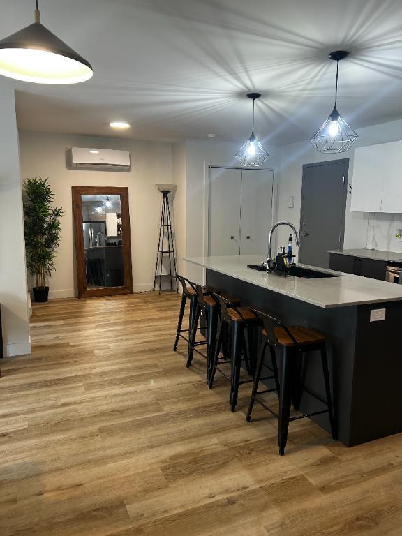 LOGEMENT 4 ½ DE LUXE À SHERBROOKE | 3083565