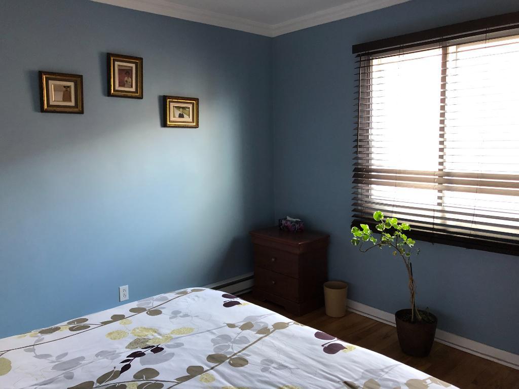 Très beau 4 1/2 à louer sur la 40e Avenue dans Rosemont | 3095573
