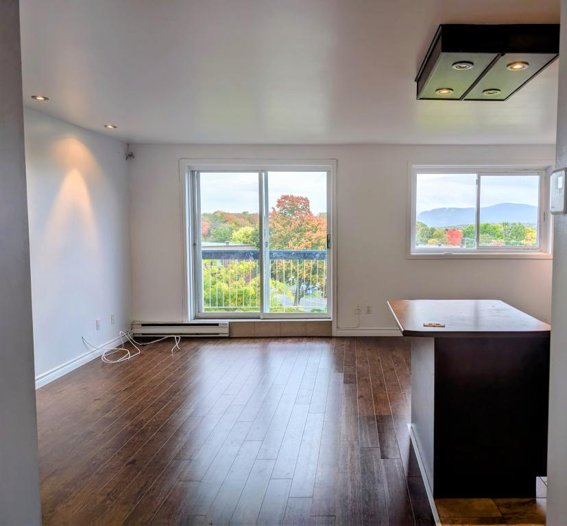 4-1/2 clientèle 50 ans et + tranquille, belle vue. | 3083924