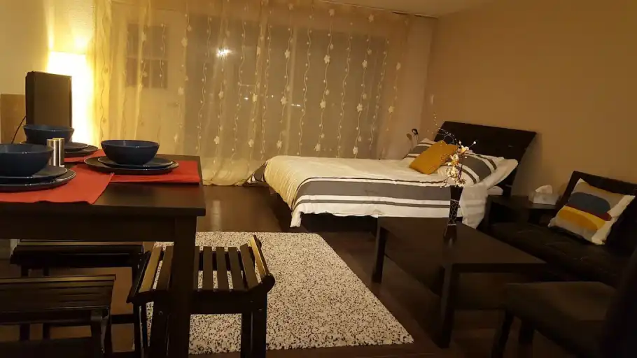 Furnished bachelor apartment | 1508 - 221 6 Avenue Southeast, Calgary | 3107693