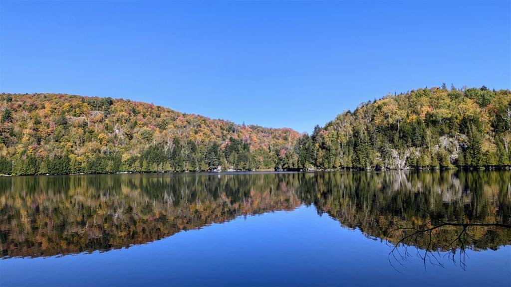 Laurentides, Petit terrain au bord de l'eau à Montcalm (municipalité), lac des Pins, 24 000$, corridor aérobique | 3085308