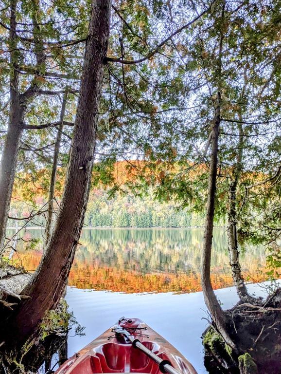 Laurentides, Petit terrain au bord de l'eau à Montcalm (municipalité), lac des Pins, 24 000$, corridor aérobique | 3085308