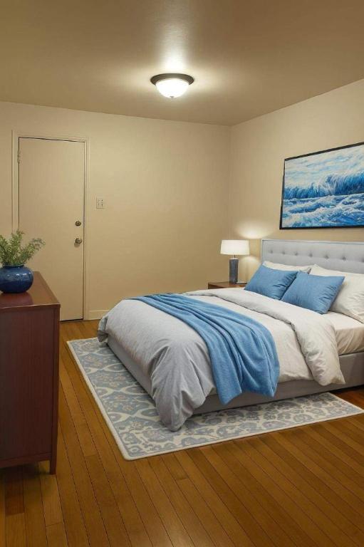 Studio - Montréal - $995 /mo | 3085726