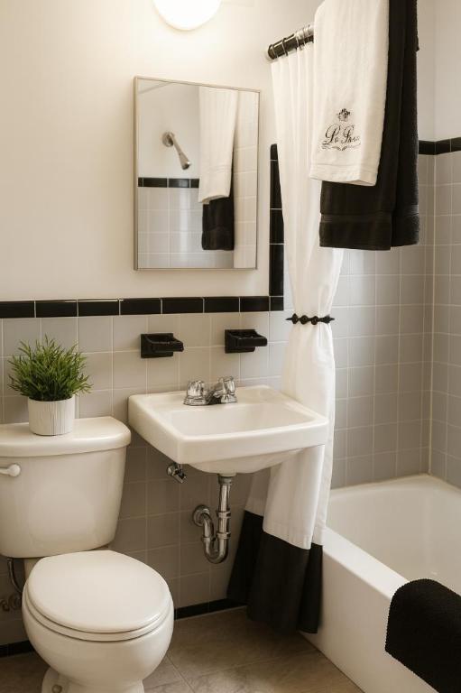 Studio - Montréal - $995 /mo | 3085726