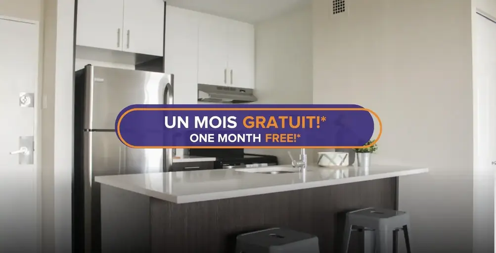 1101 Rachel | 1101 Rue Rachel Est, Montreal | 3085768