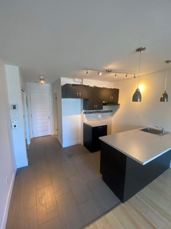 1 CH - 1 SDB - Montréal - $1,295 /mo | 3086103