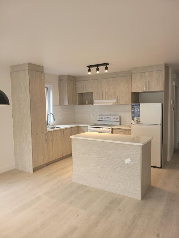 Luxueux condo neuf et moderne 4 1/2 Métro PIE-IX Montréal Hochelaga-Maisonneuve à louer - appartement / logement | 3086766