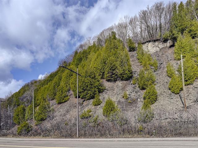 Terrain | 3086788