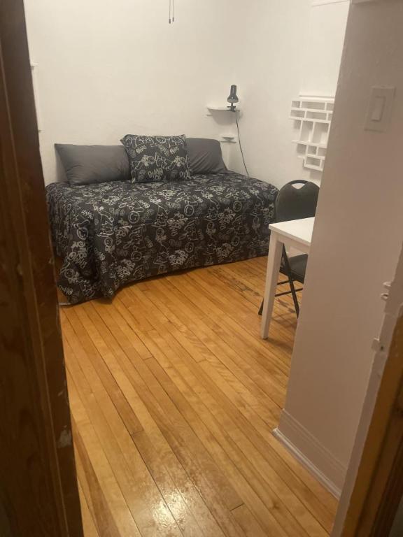 1 1/2 - Montréal (Le Plateau Mont-Royal) - 900 $/mois | 3087027