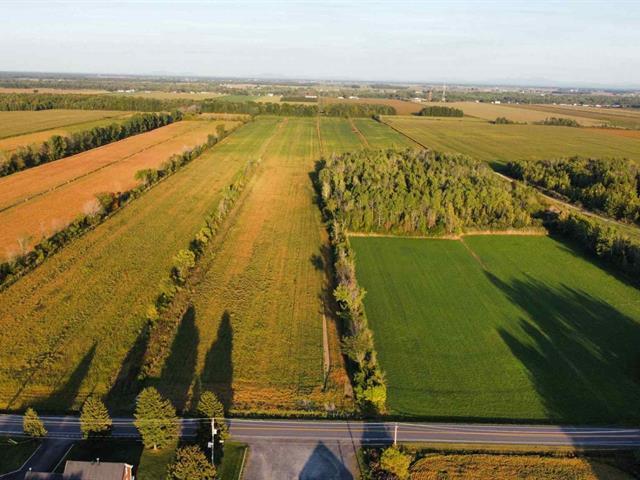 St-Blaise-sur-Richelieu (Montérégie) : Terre de culture | 3088931