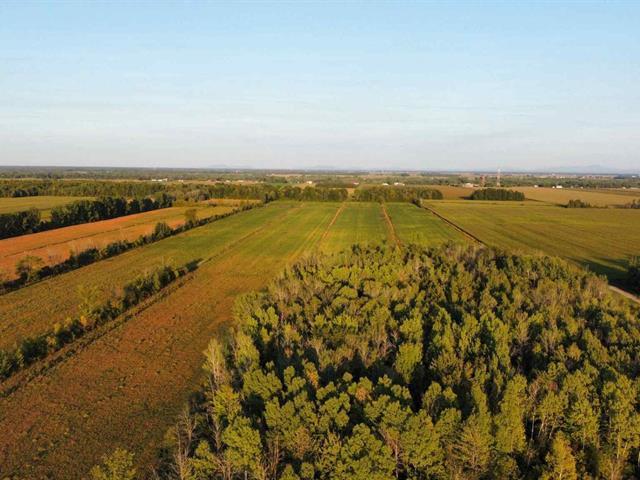 St-Blaise-sur-Richelieu (Montérégie) : Terre de culture | 3088931