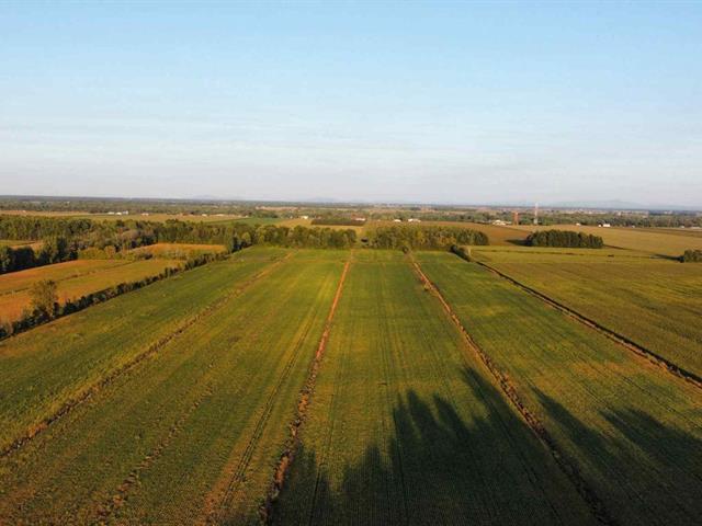 St-Blaise-sur-Richelieu (Montérégie) : Terre de culture | 3088931