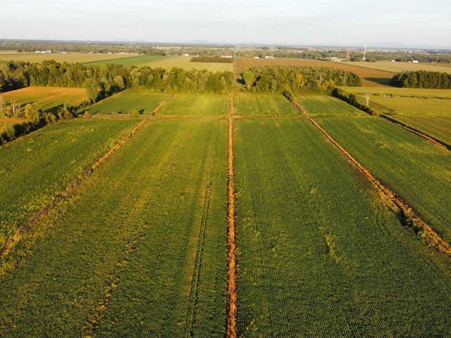 St-Blaise-sur-Richelieu (Montérégie) : Terre de culture | 3088931