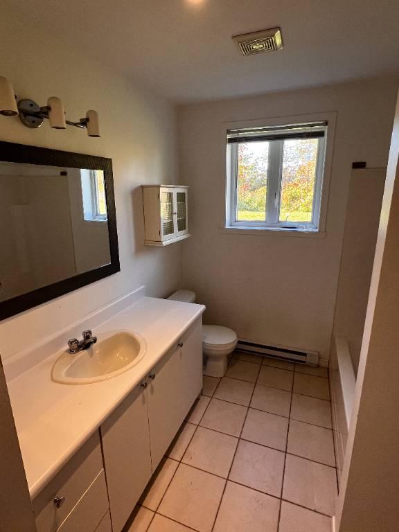 Grand 4 ½ lumineux à louer à Saint-Gabriel-de-Valcartier | 3087949