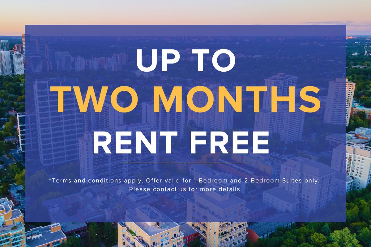 Davisville Village Apartments | 3087992