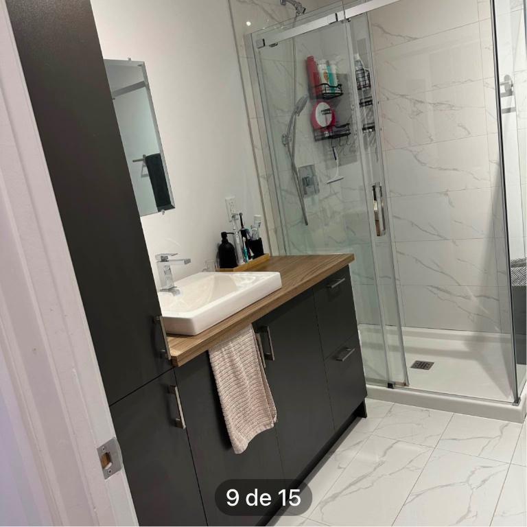 Grand 4 1/2 moderne près de Beloeil à louer | 3088660