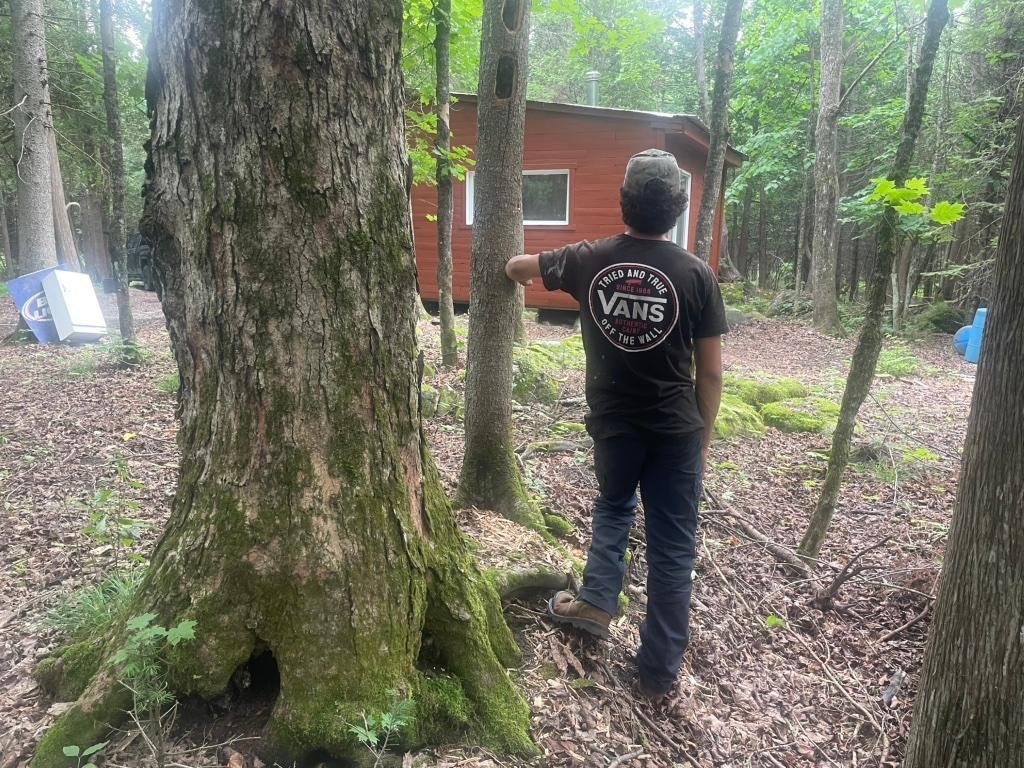 Terre à bois deschambault -grondines | 3177530