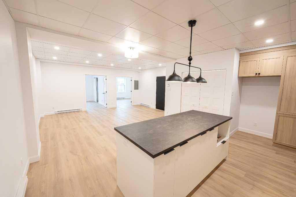 Appartement 4 & 1/2 avec rénovation récentes | 3089150