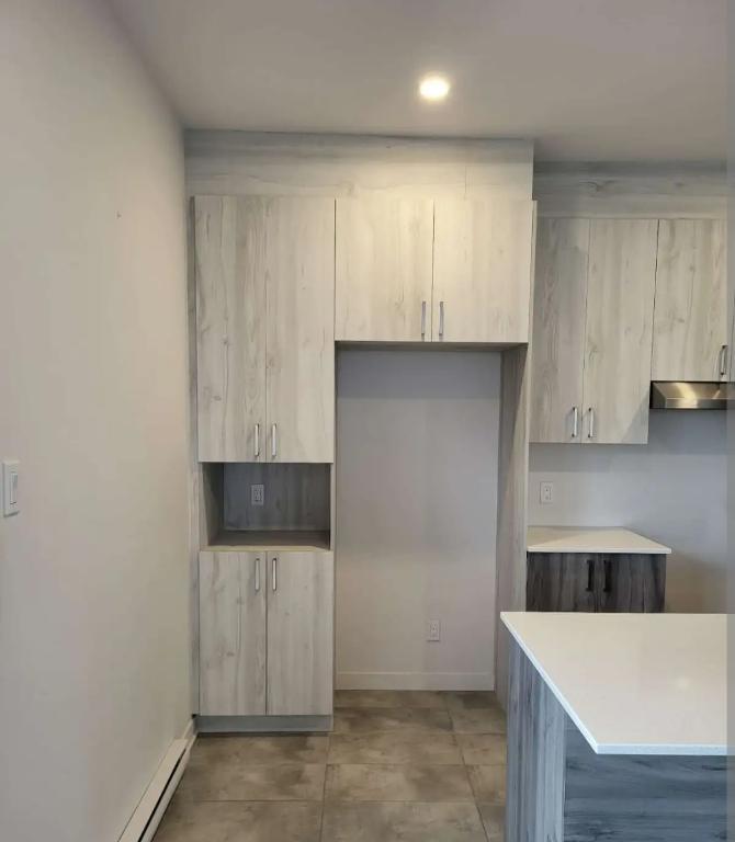 Grand 4 1/2 style condo | 3090053