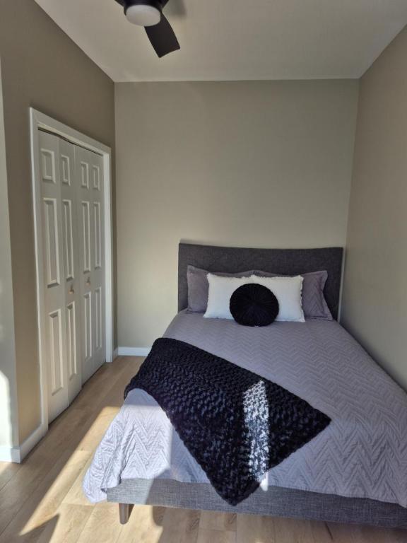 5 1/2 - Trois-Rivières - 1 625 $/mois | 3116761