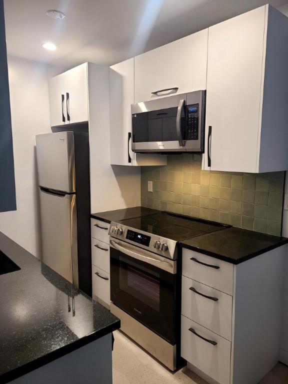 2 1/2 - Montréal (Le Plateau Mont-Royal) - 1 635 $/mois | 3090068