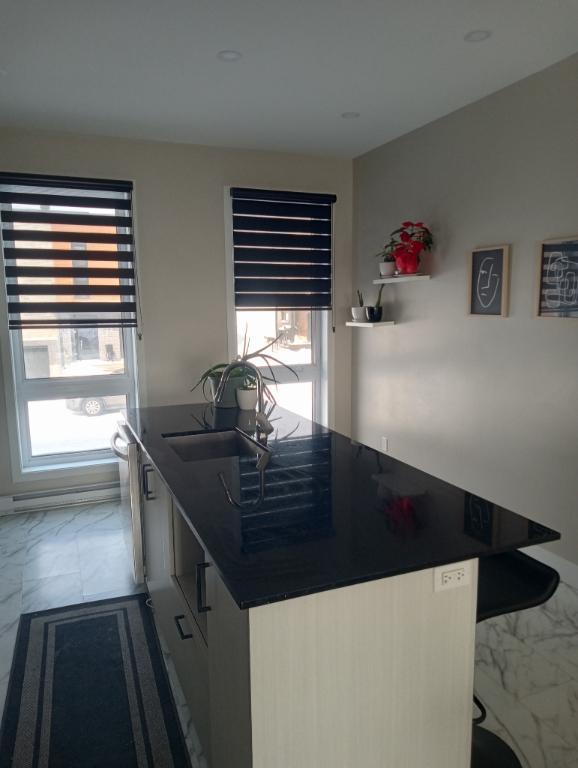 Maison de ville sur 3 étages avec vue imprenable sur le fleuve | 3167039