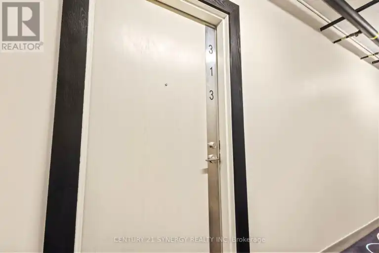 313 - 224 LYON STREET N | 313 - 224 LYON STREET N, Ottawa | 3090997