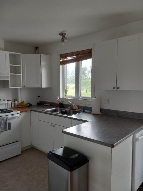 Grand 4 et demi, St-Etienne de Lauzon | 3117902